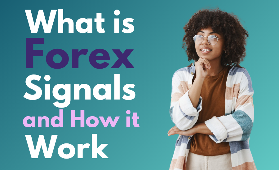 What is Forex Signals and How it Works?